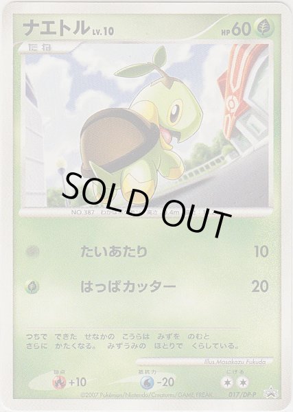 Photo1: Turtwig 017/DP-P Promo (1)