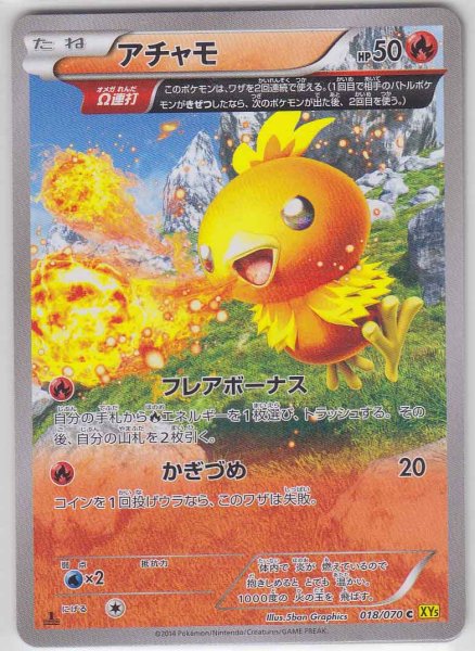 Photo1: Torchic 018/070 XY5 1st   (1)